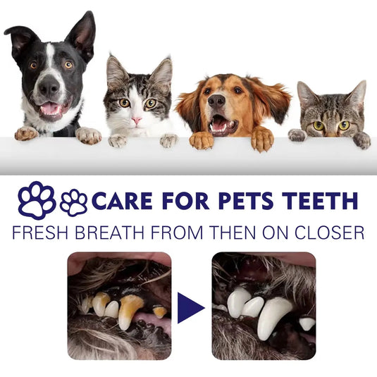 Dog Toothpaste Oral Tooth Stain Cleaning Fresh Breath Cat Tartar Removal Prevent Teeth Calculus Mouth Deodorant Pet Toothpaste