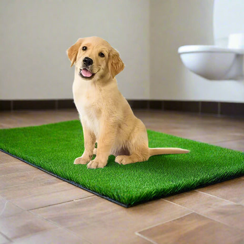 Artificial grass dog potty pad with puppy sitting on it.