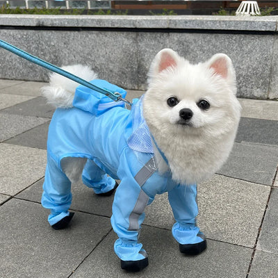 Dog Raincoat for Small Dogs