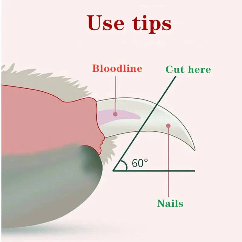 Load image into Gallery viewer, Diagram showing tips for trimming pet nails safely with LED Pet Nail Clippers, highlighting where to cut.
