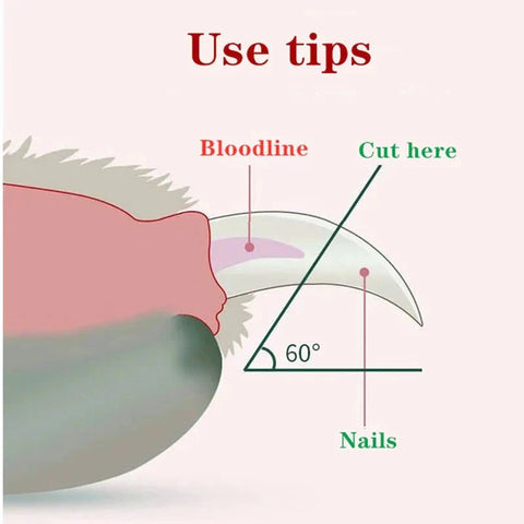Diagram showing tips for trimming pet nails safely with LED Pet Nail Clippers, highlighting where to cut.