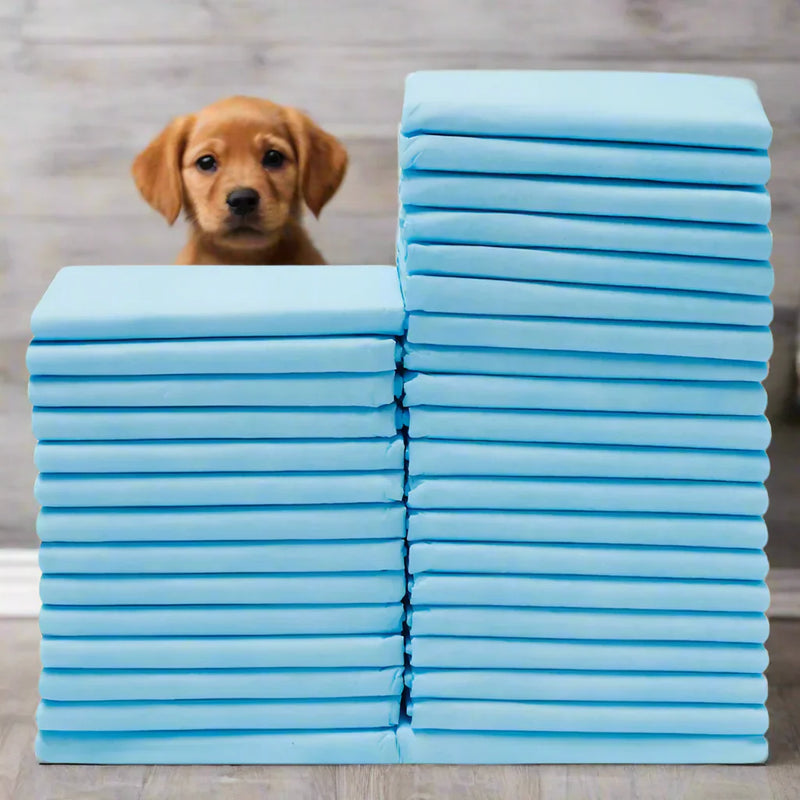 Load image into Gallery viewer, Pet Diapers Packs
