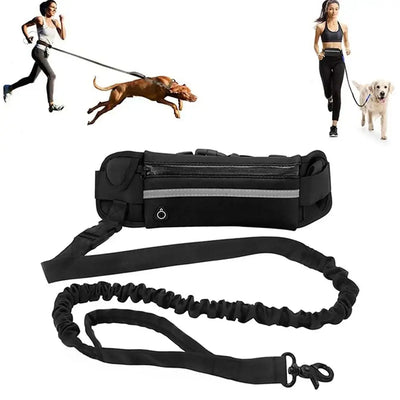 Reflective hands-free dog leash