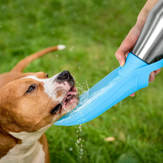 Large Dog Water Bottle Stainless Steel Outdoor Portable Dog Water Bowl Puppy Travel Water Basin Pet Supplies