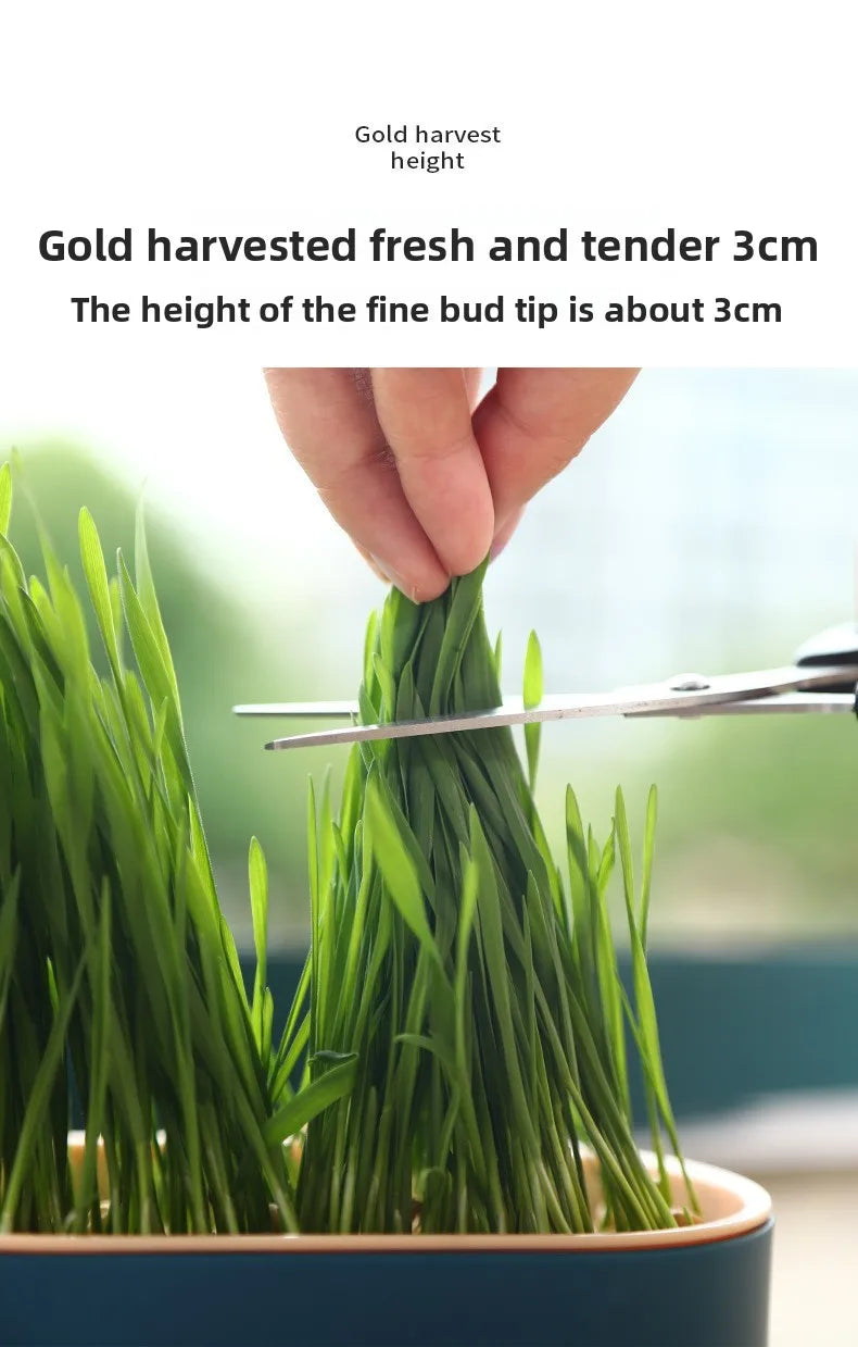 Load image into Gallery viewer, Hydroponic Cat Grass Box
