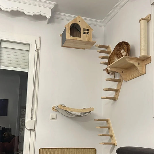 Premium Wall-Mounted Cat Climbing Shelves Set