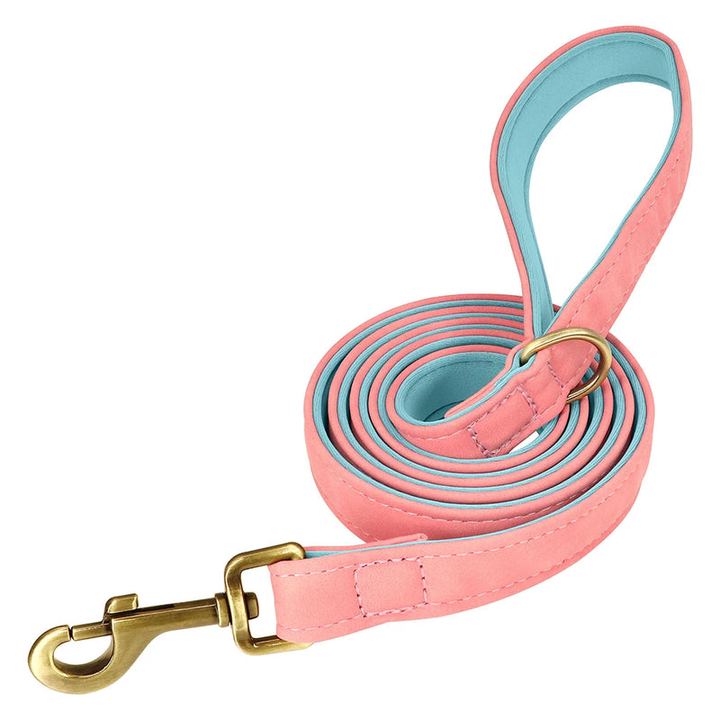 Load image into Gallery viewer, Personalized Leather Dog Collar &amp; Leash Set with Engraved Nameplate
