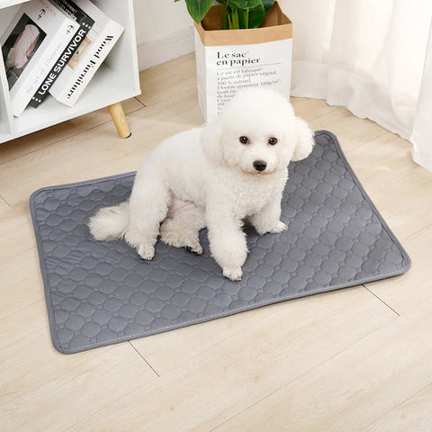 EcoComfort Washable Pee Pad