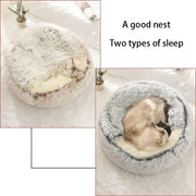 Cozy Nest