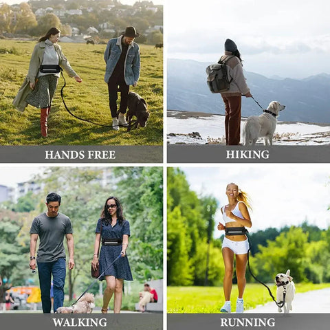 Reflective Hands-Free Dog Leash