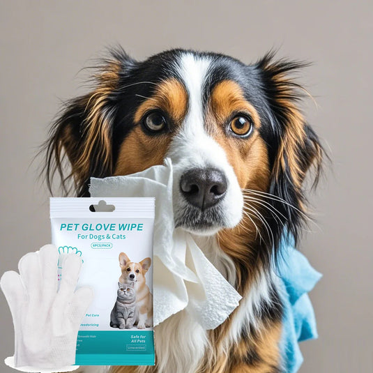 Pet Disposable Gloves for Grooming