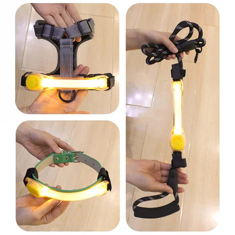 Load image into Gallery viewer, Dog Anti Lost Safety Glowing Collar Outdoor Waterproof Warning LED

