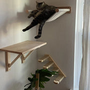 Ultimate Wall-Mounted