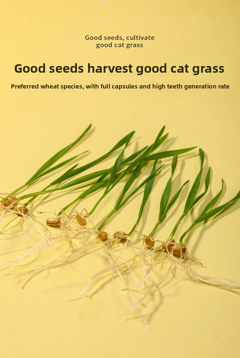 Load image into Gallery viewer, Hydroponic Cat Grass Box
