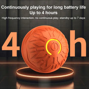 EcoBounce