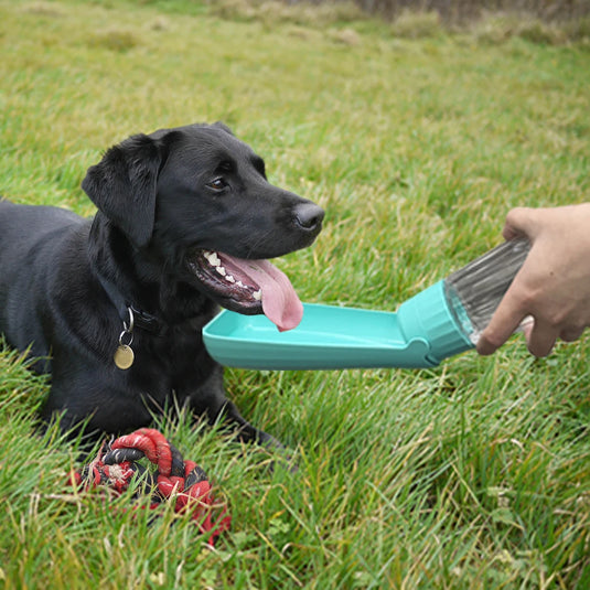 Portable Dog Water Bottle