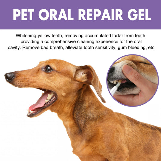 Pet Oral Repair Gel – Bad Breath & Tartar