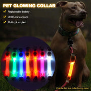 Dog Anti Lost Safety Glowing Collar Outdoor Waterproof Warning LED