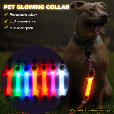 Dog Anti Lost Safety Glowing Collar Outdoor Waterproof Warning LED