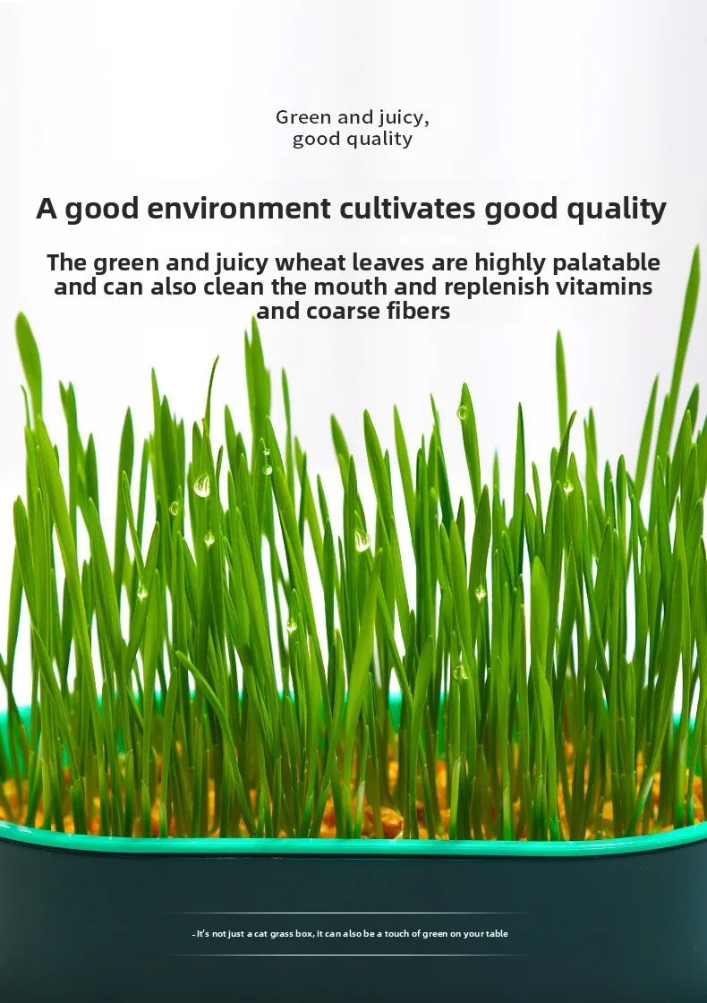 Load image into Gallery viewer, Hydroponic Cat Grass Box
