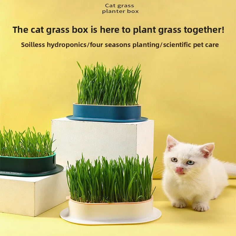 Load image into Gallery viewer, Hydroponic Cat Grass Box
