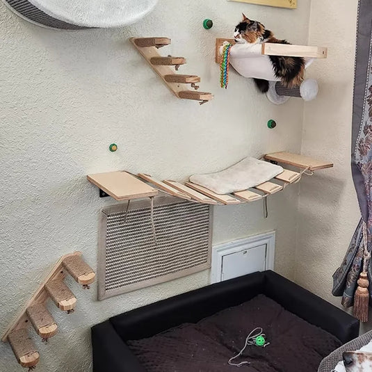 Premium Wall-Mounted Cat Climbing Shelves Set