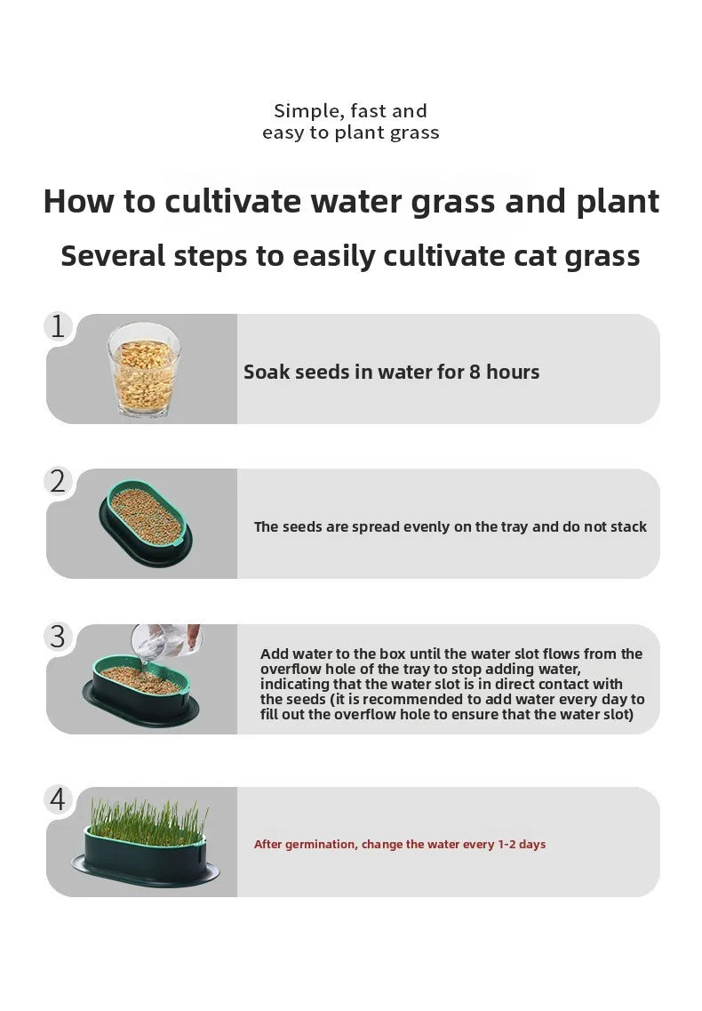 Load image into Gallery viewer, Hydroponic Cat Grass Box
