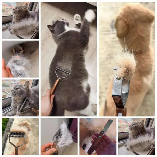 Sustainable Wood & Stainless Steel Pet Grooming Set
