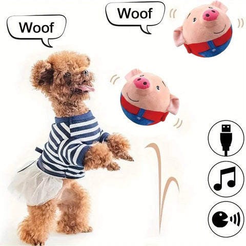 Smart Motion Ball