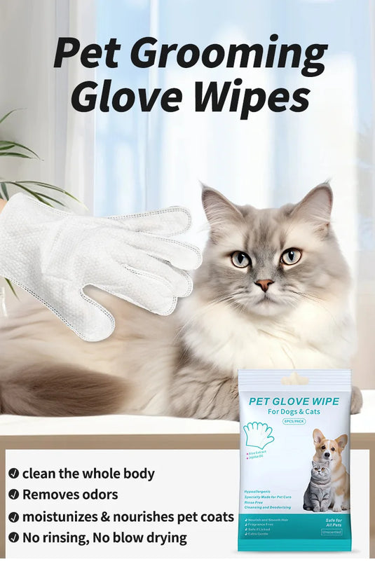 Pet Disposable Gloves for Grooming