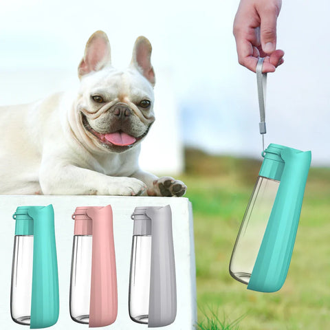 Portable Dog Water Bottle – Leak-proof, BPA-free pet hydration for walks and hikes.