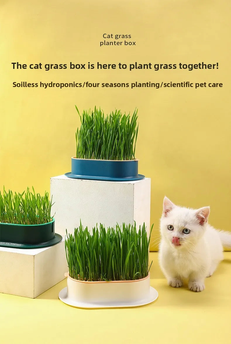 Load image into Gallery viewer, Hydroponic Cat Grass Box
