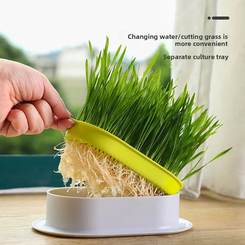 Load image into Gallery viewer, Hydroponic Cat Grass Box
