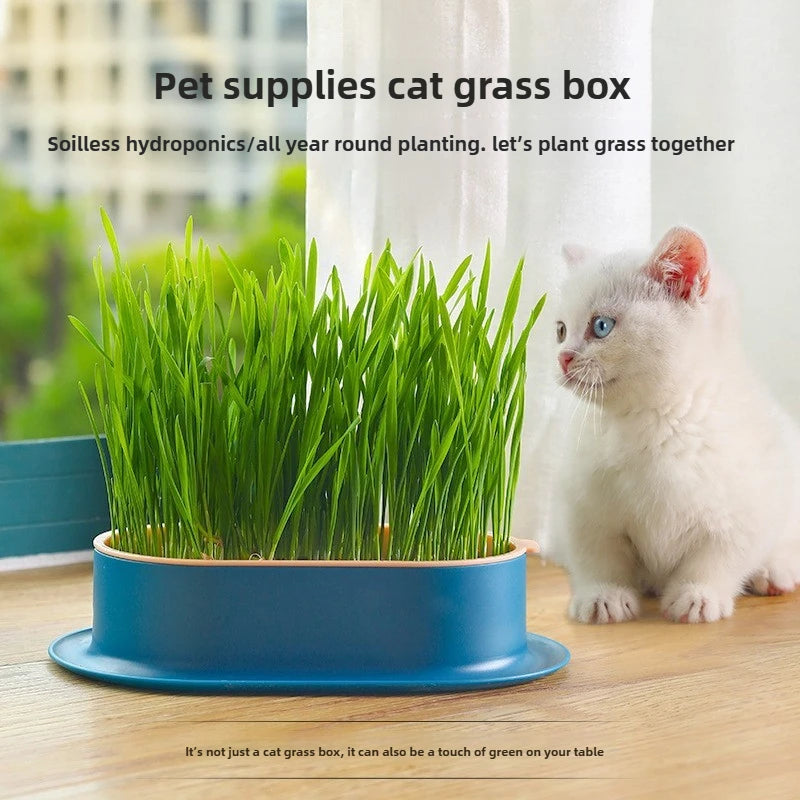 Load image into Gallery viewer, Hydroponic Cat Grass Box
