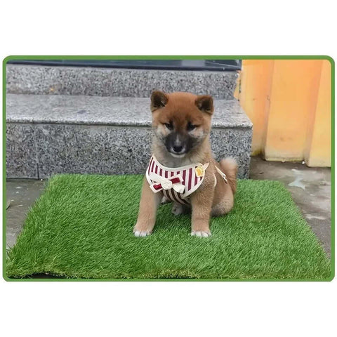 Artificial Grass Dog Potty Pad Odor-Resistant, Easy-Clean Training Mat