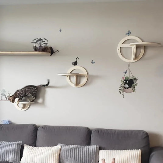 Ultimate Wall-Mounted