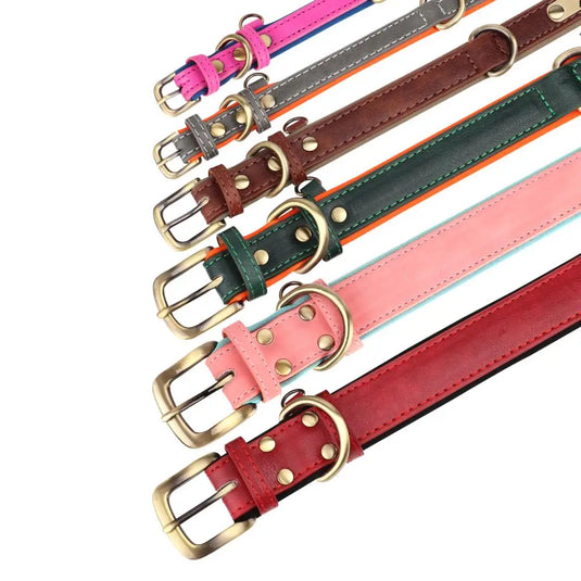 Personalized Leather Dog Collar & Leash Set with Engraved Nameplate