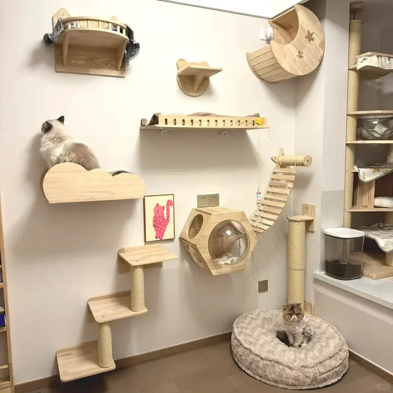 Load image into Gallery viewer, Wall mounted cat climbing shelves with wooden hammock, scratching ladder, and multi-level play area for cats.
