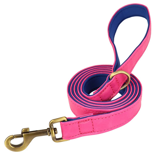 Personalized Leather Dog Collar & Leash Set with Engraved Nameplate