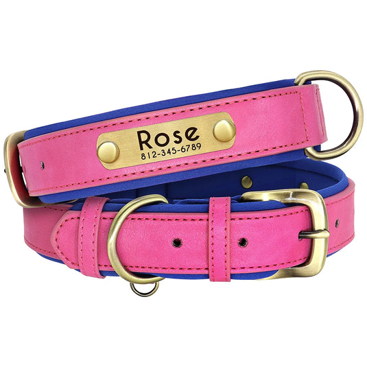 Personalized Leather Dog Collar & Leash Set with Engraved Nameplate