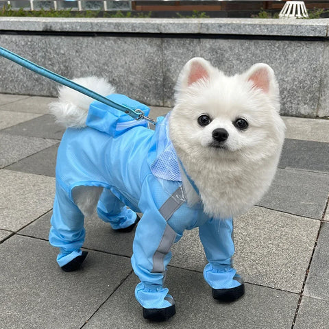 Dog Raincoat for Small Dogs