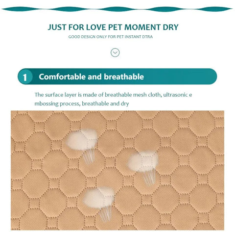 EcoComfort Washable Pee Pad