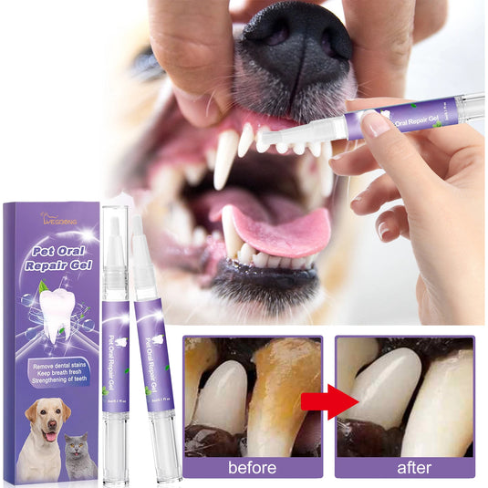 High-Quality Pet Grooming Supplies &  Tools