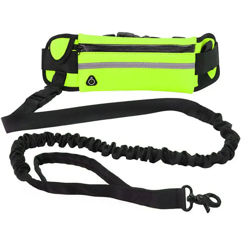 Reflective hands-free dog leash