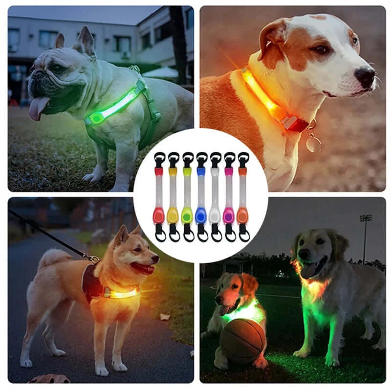 Load image into Gallery viewer, Dog Anti Lost Safety Glowing Collar Outdoor Waterproof Warning LED
