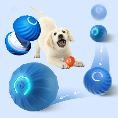 Eco-friendly Smart Bounce Ball pet toy for active play and interactive training.