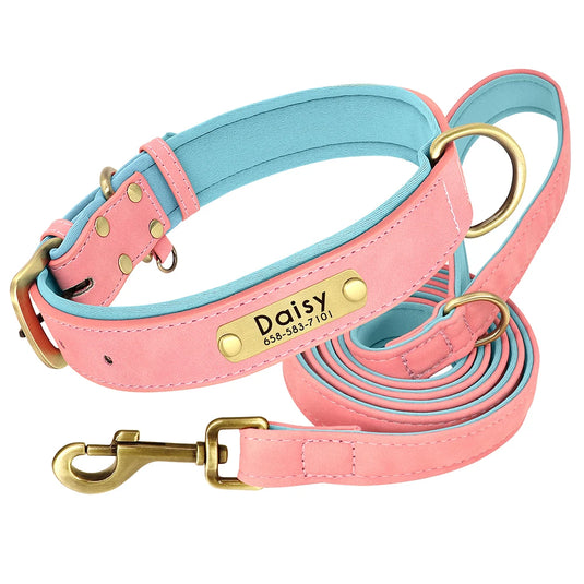 Personalized Leather Dog Collar & Leash Set with Engraved Nameplate