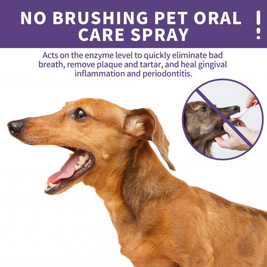 Dog & Cat Dental Care Spray