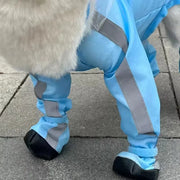 Dog Raincoat for Small Dogs