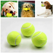 PawLaunch Pro